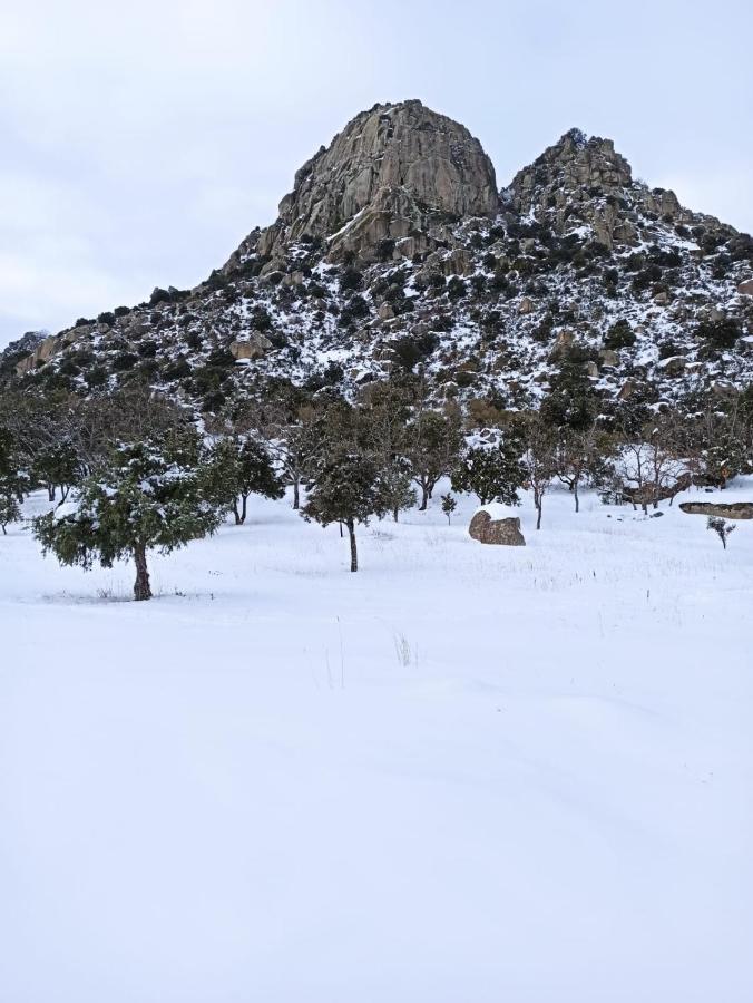 La Consentida Apartamento La Cabrera
